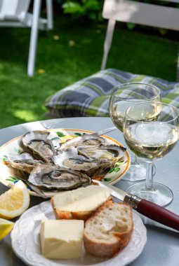Fransa 'nın Gujan-Mestras limanındaki Arcachon körfezi istiridye çiftliği köyündeki restoranda taze çiğ istiridye kabukları, ekmek, tereyağı ve beyaz şarapla servis edilen tabaklar.