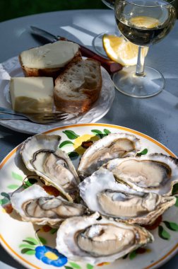 Fransa 'nın Gujan-Mestras limanındaki Arcachon körfezi istiridye çiftliği köyündeki restoranda taze çiğ istiridye kabukları, ekmek, tereyağı ve beyaz şarapla servis edilen tabaklar.