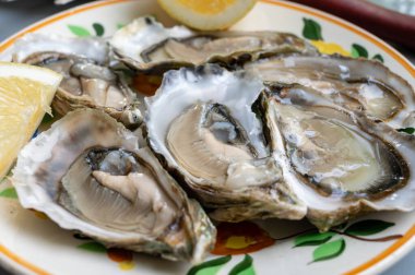 Fransa 'nın Gujan-Mestras limanındaki Arcachon körfezi istiridye çiftliği köyündeki restoranda taze çiğ istiridye kabukları, ekmek, tereyağı ve beyaz şarapla servis edilen tabaklar.