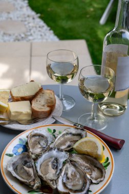 Fransa 'nın Gujan-Mestras limanındaki Arcachon körfezi istiridye çiftliği köyündeki restoranda taze çiğ istiridye kabukları, ekmek, tereyağı ve beyaz şarapla servis edilen tabaklar.