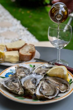 Fransa 'nın Gujan-Mestras limanındaki Arcachon körfezi istiridye çiftliği köyündeki restoranda taze çiğ istiridye kabukları, ekmek, tereyağı ve beyaz şarapla servis edilen tabaklar.