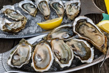 Fransa 'nın Gujan-Mestras limanındaki Arcachon körfezi istiridye çiftliği köyündeki restoranda taze çiğ istiridye, deniz kabuğu, liman, ekmek, tereyağı ve beyaz şarapla servis edilen tabaklar.