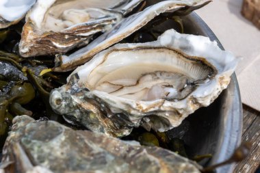 Plate with fresh live raw oysters seashells with citron, bread, butter and white wine served on ice at restaurant in oyster-farming village, Arcachon bay, Gujan-Mestras port, France clipart