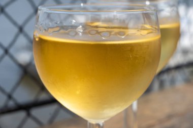 Sauternes 'de Bordeaux şarabı tatmak, Gironde Estuary, Fransa' nın sol kıyısında. Açık hava restoranında öğle yemeğinde servis edilen beyaz tatlı Fransız şarabı.