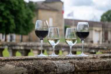 Portets köyündeki Graves üzüm bağlarındaki eski şarap sahasında beyaz ve kırmızı şarap kadehleri ve arkadaki eski şato, Bordeaux, Fransa