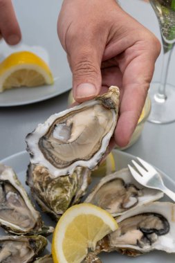 Fransa 'nın Gujan-Mestras limanındaki Arcachon körfezi istiridye çiftliği köyündeki restoranda taze çiğ istiridye, deniz kabuğu, liman, ekmek, tereyağı ve beyaz şarapla servis edilen el.