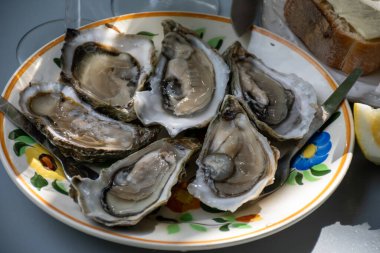 Fransa 'nın Gujan-Mestras limanındaki Arcachon körfezi istiridye çiftliği köyündeki restoranda taze çiğ istiridye kabukları, ekmek, tereyağı ve beyaz şarapla servis edilen tabaklar.