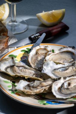 Fransa 'nın Gujan-Mestras limanındaki Arcachon körfezi istiridye çiftliği köyündeki restoranda taze çiğ istiridye kabukları, ekmek, tereyağı ve beyaz şarapla servis edilen tabaklar.