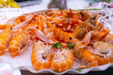 Fransa 'da balık pazarında buzda günlük taze karides, deniz kabuğu, yumuşakça çeşitleri, İngilizce çeviri: farklı Fransız deniz ürünleri isimleri