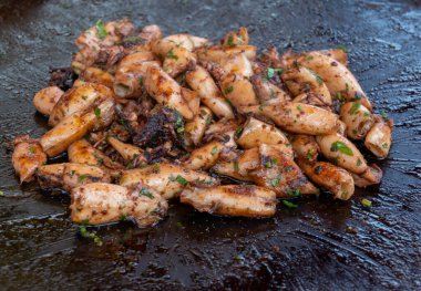 Fransa 'da balık pazarında buzda günlük taze karides, deniz kabuğu, yumuşakça çeşitleri, İngilizce çeviri: farklı Fransız deniz ürünleri isimleri