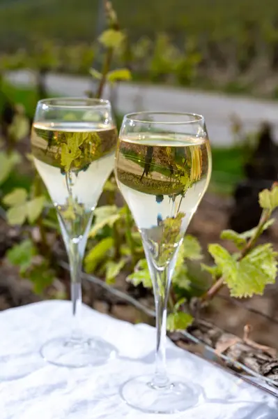 stock image Tasting of brut champagne sparkling wine outdoor with view on pinot noir gran cru vineyards of famous champagne houses in Montagne de Reims near Verzenay, Champagne, France