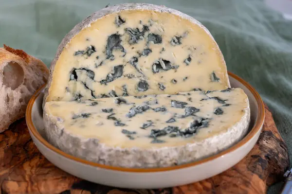 stock image Cheese collection, piece of French blue cheese auvergne or fourme d'ambert close up.