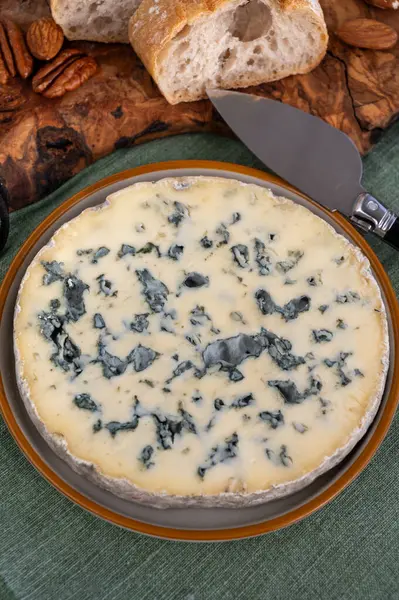 stock image Cheese collection, piece of French blue cheese auvergne or fourme d'ambert close up.