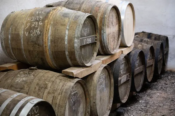 stock image Aging process of cognac spirit in old dark French oak barrels in cool cellar in distillery house, Cognac white wine region, Charente, Segonzac, Grand Champagne, France