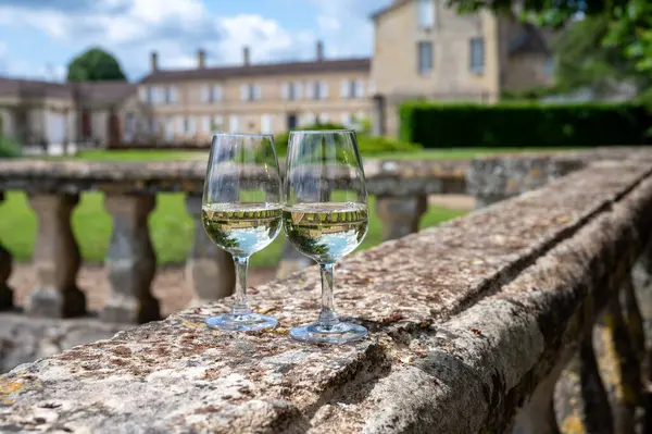 stock image Tasing glasses of white wine in old wine domain on Sauternes vineyards in Barsac village and old castle on background, Bordeaux, France