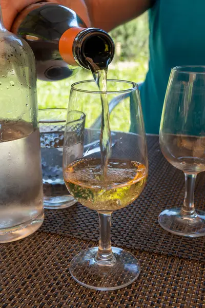 stock image Tasting of Bordeaux white wine in Sauternes, left bank of Gironde Estuary, France. Glasses of white sweet French wine served for lunch in restaurant