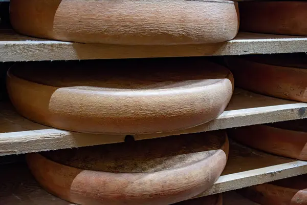 stock image Aging rooms with many shelves in cheese caves, central location for aging of wheels, rounds of Comte cheese from four months to several years made from unpasteurised cow milk, Jura, France