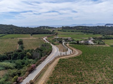 Tepeler, deniz, evler ve yeşil üzüm bağları üzerindeki hava manzarası Cotes de Provence, Saint-Tropez, Gassin ve Pampelonne plajı yakınlarındaki gül şarabı üretimi, Var, Fransa