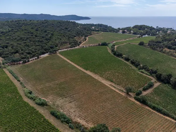 stock image Aerial view on hills, sea, houses and green vineyards Cotes de Provence, production of rose wine near Saint-Tropez, Gassin and Pampelonne beach, Var, France in summer