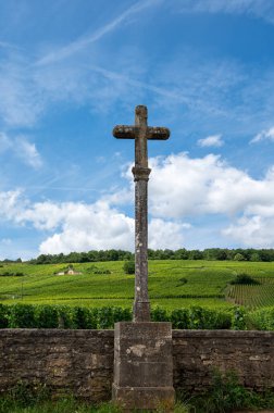 Cote de nuits 'de haçlı ve sıralı Pinot üzümlü yeşil Grand Cru ve başlıca cru üzüm bağları Vosne-Romanee köyü yakınlarındaki Burgundy bölgesinde ünlü kırmızı ve beyaz Burgundy şarabı üretiyor.