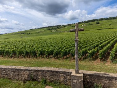 Cote de nuits 'de haçlı ve sıralı Pinot üzümlü yeşil Grand Cru ve başlıca cru üzüm bağları Vosne-Romanee köyü yakınlarındaki Burgundy bölgesinde ünlü kırmızı ve beyaz Burgundy şarabı üretiyor.