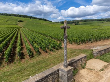 Cote de nuits 'de haçlı ve sıralı Pinot üzümlü yeşil Grand Cru ve başlıca cru üzüm bağları Vosne-Romanee köyü yakınlarındaki Burgundy bölgesinde ünlü kırmızı ve beyaz Burgundy şarabı üretiyor.