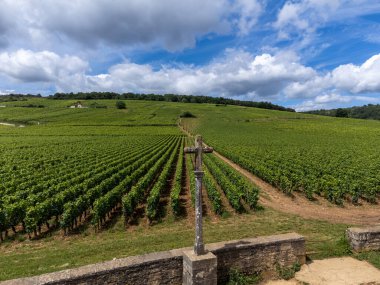Cote de nuits 'de haçlı ve sıralı Pinot üzümlü yeşil Grand Cru ve başlıca cru üzüm bağları Vosne-Romanee köyü yakınlarındaki Burgundy bölgesinde ünlü kırmızı ve beyaz Burgundy şarabı üretiyor.