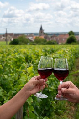 Cote de nuits 'de haç ve taş duvarları olan Grand Cru üzüm bağlarında kırmızı Pinot şarabı içmek, Burgundy bölgesinde ünlü kırmızı ve beyaz Burgundy şarabı yapmak, Vosne-Romanee köyü, Fransa