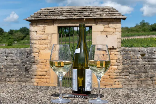 stock image Tasting of high quality white dry rare wine made from Chardonnay grapes on grand cru classe vineyards near Puligny-Montrachet village, Burgundy, France