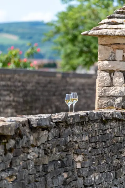 stock image Walled clos green vineyards around Puligny-Montrachet village, Burgundy, France. High quality white dry wine making from Chardonnay grapes on grand cru classe vineyards