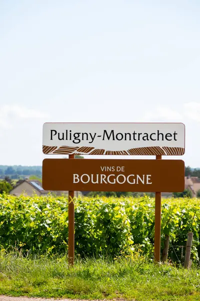 stock image Green vineyards around Puligny-Montrachet village, wine of Burgundy road sign, France. High quality white dry wine making from Chardonnay grapes on grand cru classe vineyards