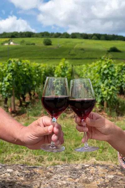 stock image Drinking of red pinot noir wine on grand cru vineyards with cross and stone walls in Cote de nuits, making of famous red and white Burgundy wine in Burgundy region, Vosne-Romanee village, France