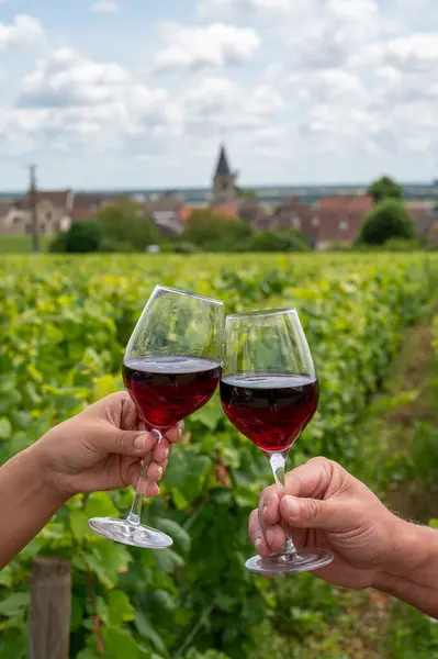 stock image Drinking of red pinot noir wine on grand cru vineyards with cross and stone walls in Cote de nuits, making of famous red and white Burgundy wine in Burgundy region, Vosne-Romanee village, France