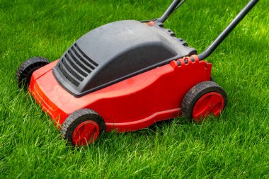 Bahçede mevsimlik bakım işleri, iş başında çim biçme, çim biçme, İngiliz çimenliği, bahçe bakımı.