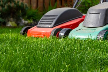 Bahçede mevsimlik bakım işleri, iş başında çim biçme, çim biçme, İngiliz çimenliği, bahçe bakımı.