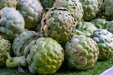 New harvest of fresh ripe green organic artichokes heads on local farmers market in Dordogne, France clipart