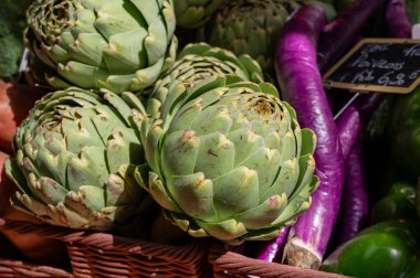 New harvest of fresh ripe green organic artichokes heads on local farmers market in Dordogne, France clipart