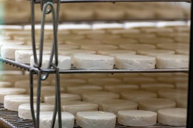 Rocamadour yumuşak keçi peyniri, Perigord 'daki çiftlikte üretilen yaşlanma sürecinde yumuşak kabuklu AOC peyniri ve Quercy adını Fransa' nın ayrılan Lot kentindeki Rocamadour köyünden aldı.