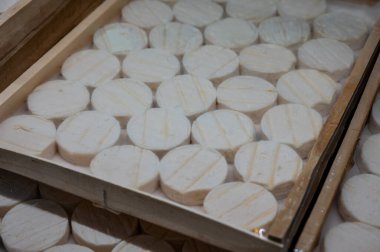 Perigord ve Quercy 'deki çiftlikte üretilen yumuşak kabuklu kauçuk yumuşak keçi peyniri, Fransa' da ayrılan Lot.