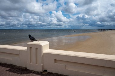 Güneşli Arcachon 'da kumsalda yürümek, Atlantik kıyısındaki tatil beldesi güzel parklar, villalar, sokaklar ve kumlu plajlar ve çam ağaçları, Fransa