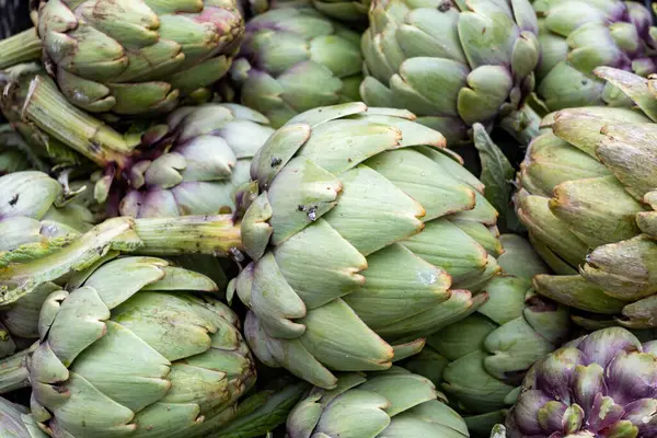 stock image New harvest of fresh ripe green organic artichokes heads on local farmers market in Dordogne, France