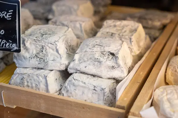 stock image Cheese collection, French Carre Cendre Lait cru Chevre pyramid cheese made from goat milk with ash in Souillac, Perigord region in France close up