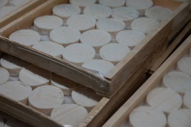 Perigord ve Quercy 'deki çiftlikte üretilen yumuşak kabuklu kauçuk yumuşak keçi peyniri, Fransa' da ayrılan Lot.