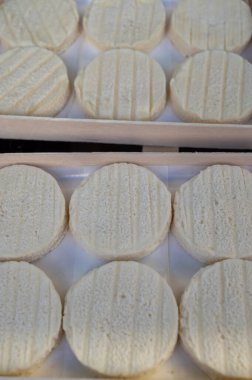 Perigord ve Quercy 'deki çiftlikte üretilen yumuşak kabuklu kauçuk yumuşak keçi peyniri, Fransa' da ayrılan Lot.