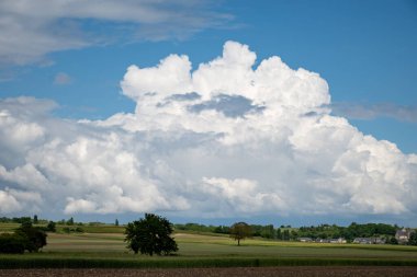 Fransız kırsalında yaz mevsiminde tarlalar ve mavi gökyüzünde beyaz bulutlar
