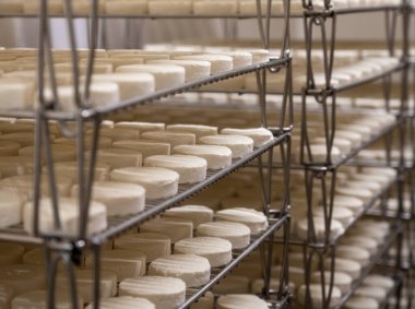 Rocamadour yumuşak keçi peyniri, Perigord 'daki çiftlikte üretilen yaşlanma sürecinde yumuşak kabuklu AOC peyniri ve Quercy adını Fransa' nın ayrılan Lot kentindeki Rocamadour köyünden aldı.