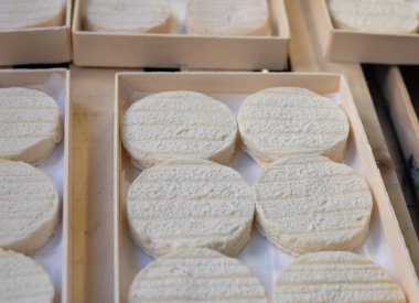 Perigord ve Quercy 'deki çiftlikte üretilen yumuşak kabuklu kauçuk yumuşak keçi peyniri, Fransa' da ayrılan Lot.