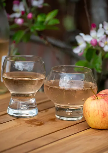 stock image Brut apple cider from Betuwe, Gelderland, in glasses and blossom of apple tree in garden on background on sunny spring day, apple cider production in Netherlands