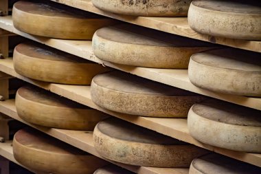 Peynir mağaralarında rafları olan yaşlanan odalar, tekerleklerin yaşlanmasının merkezi konumu, dört aydan birkaç yıla kadar ham inek sütünden yapılan Comte peyniri turları, Jura, Fransa