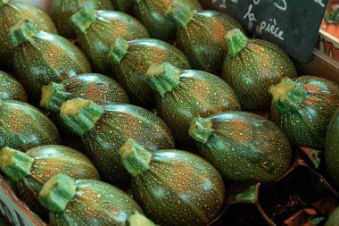 Taze yeşil kabak sebzeleri Fransız çiftçi pazarına yakın plan